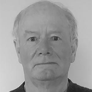 Professor David Banister